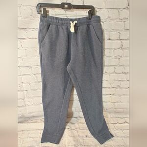Marine Layer Light Navy Blue Sweatpants